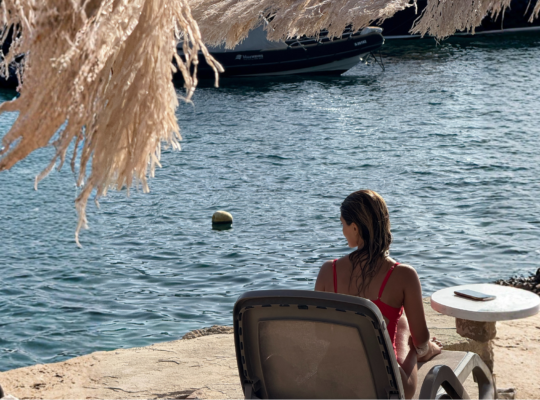 Untitled design (2) Untitled design (2)